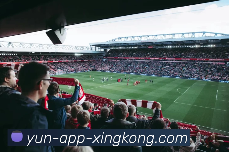 多媒体互动体验